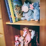 Irene 아파트 드루스키닝카이